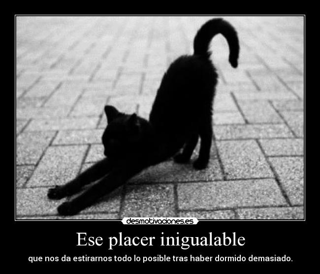 Ese placer inigualable -