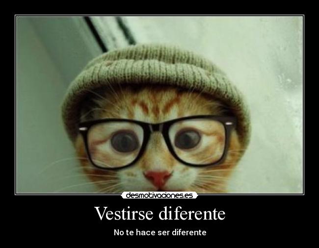 carteles gatosvestirse diferente surfer desmotivaciones