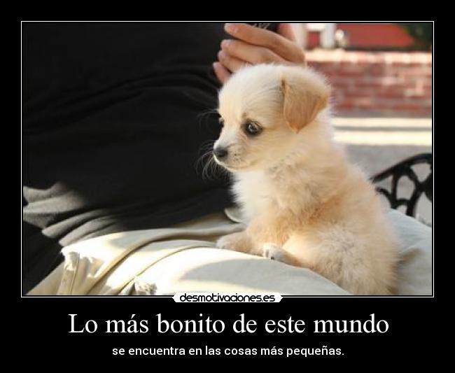 Lo más bonito de este mundo - se encuentra en las cosas más pequeñas.