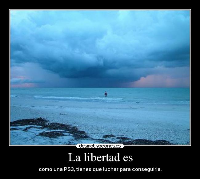 La libertad es - 