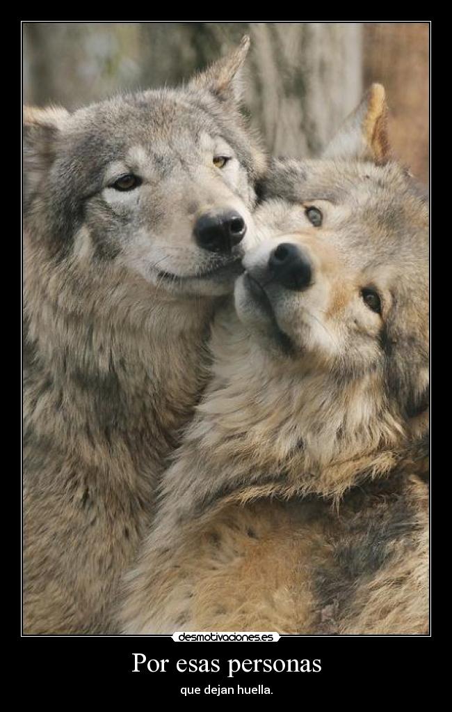 carteles jamespatrickpage echare menos hermanito desmotivaciones