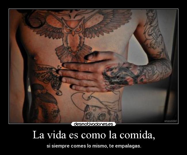 carteles vida comida waitingfortheend que pechotes hipsalami bollicao tiririri ewew nico quieromunsho ewe desmotivaciones
