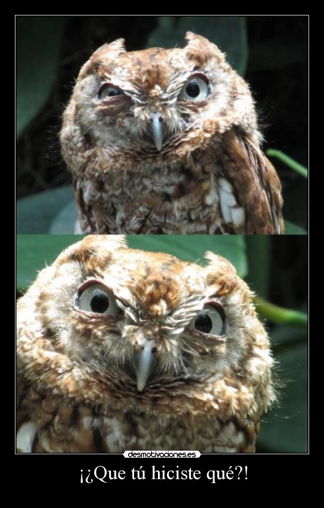 ¡¿Que tú hiciste qué?! -