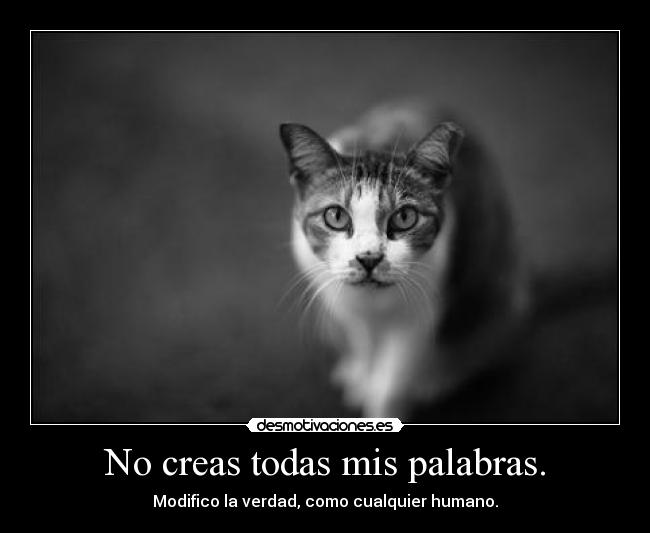 No creas todas mis palabras. -