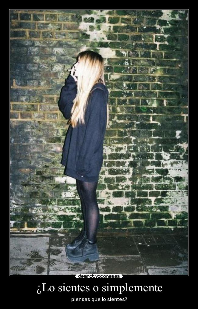 carteles nomiresaqui elclanviral toslocos lilyjames call name desmotivaciones