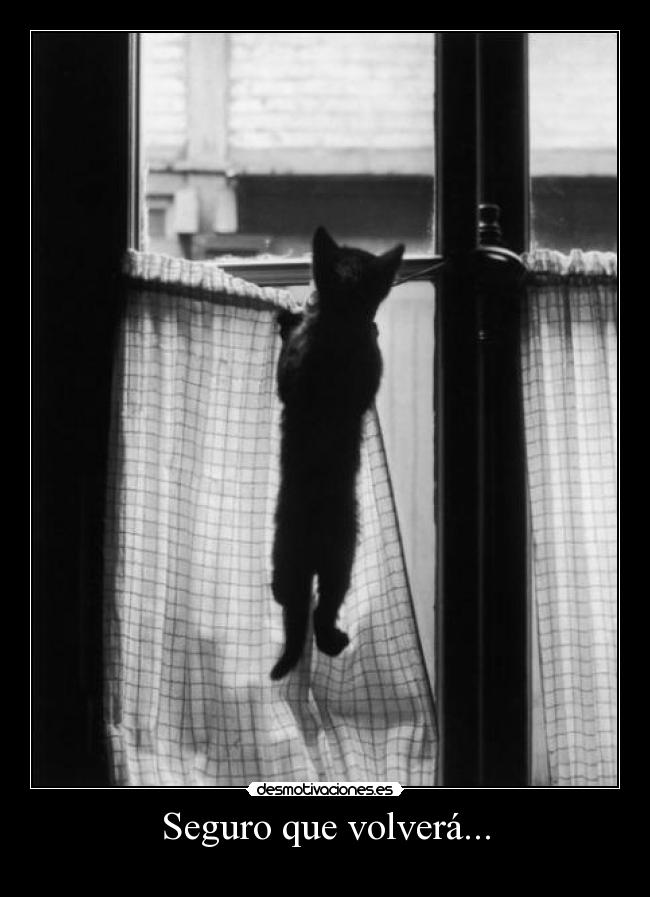 Seguro que volverá... -