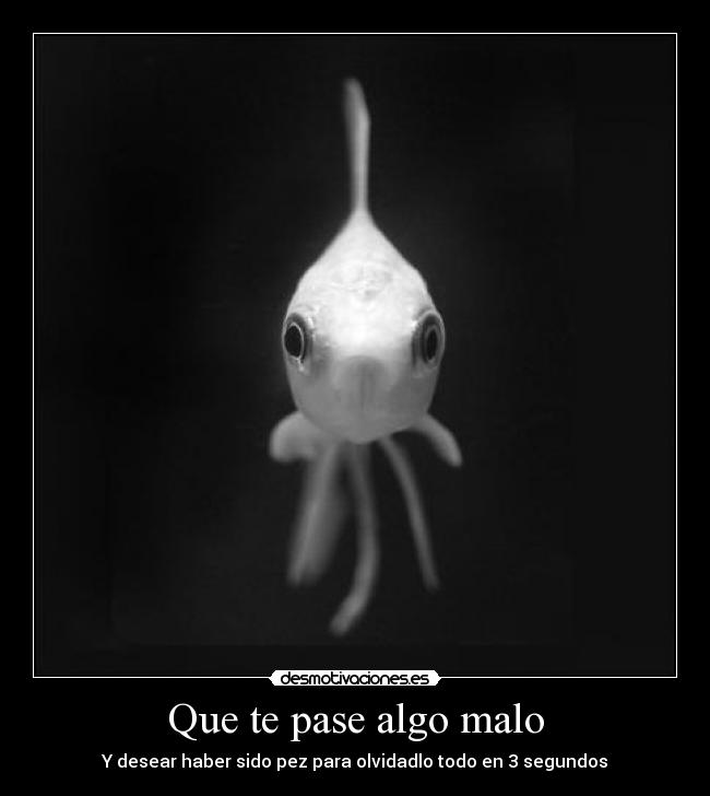 Que te pase algo malo - Y desear haber sido pez para olvidadlo todo en 3 segundos