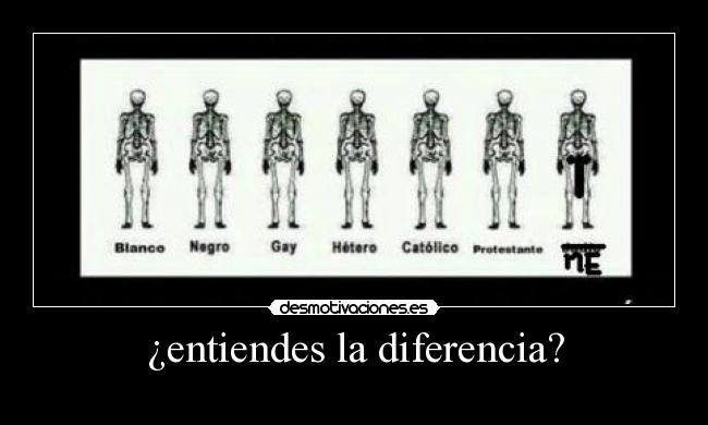 ¿entiendes la diferencia? - 