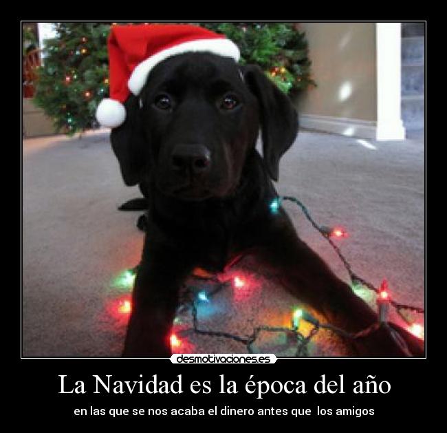 carteles navidad navidad desmotivaciones