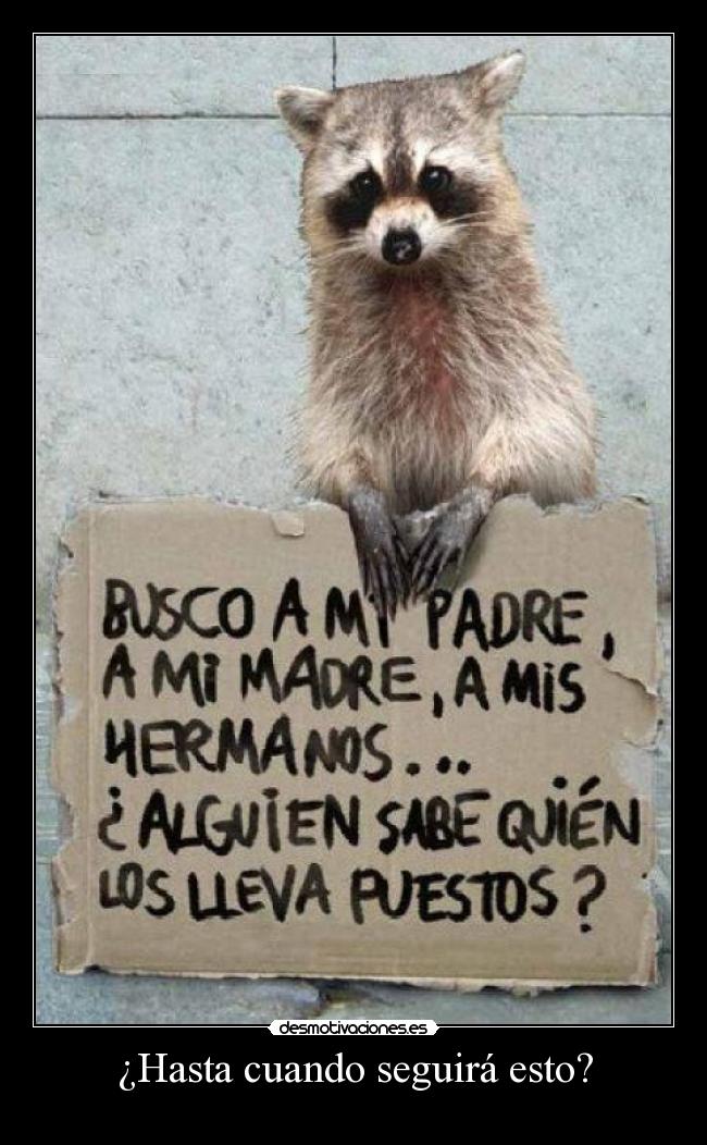 ¿Hasta cuando seguirá esto? -
