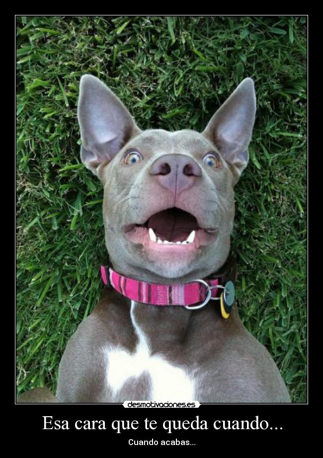 Esa cara que te queda cuando... - Cuando acabas...