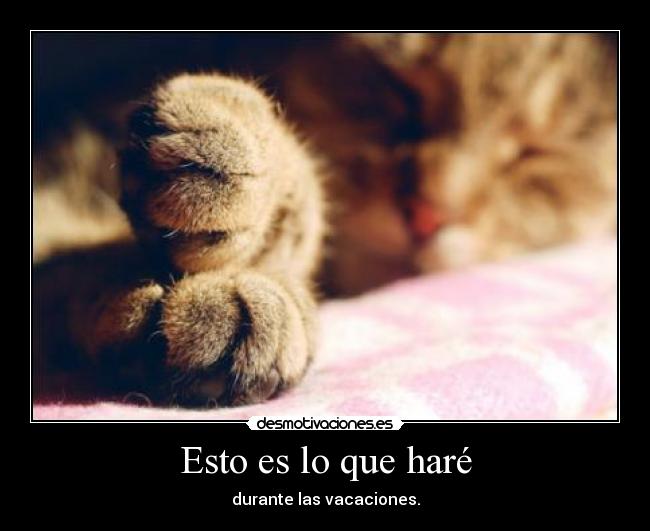 Esto es lo que haré -