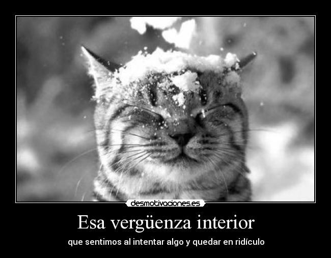 Esa vergüenza interior - que sentimos al intentar algo y quedar en ridículo