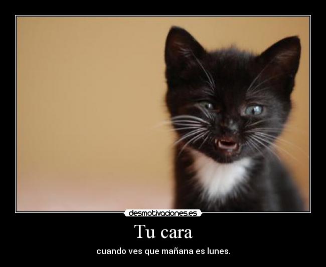 Tu cara - cuando ves que mañana es lunes.