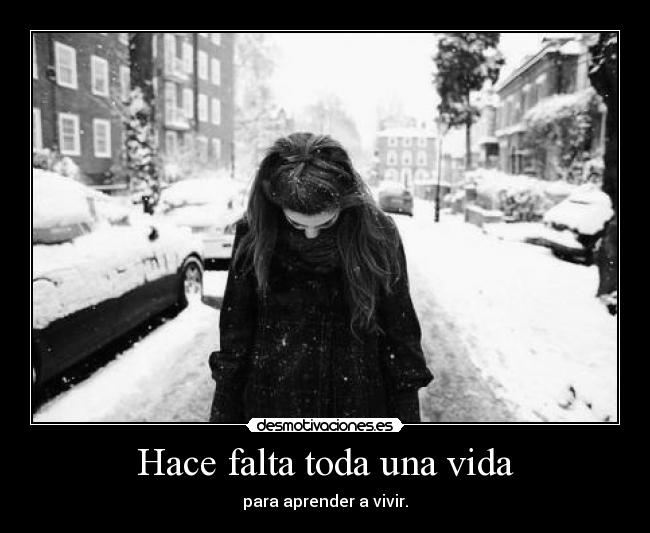 Hace falta toda una vida - 