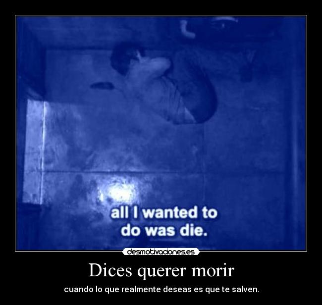 carteles live laugh die idairita carteles azuuuuuuuuuuuuuuuuuuuules desmotivaciones