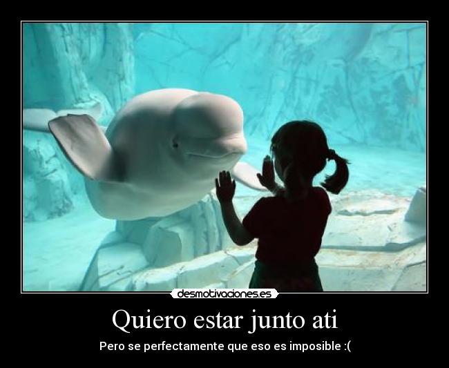 Quiero estar junto ati -