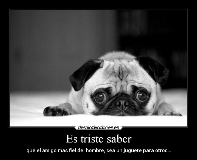 Es triste saber - 