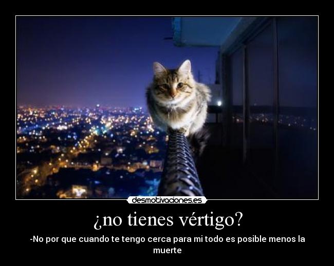 ¿no tienes vértigo? -