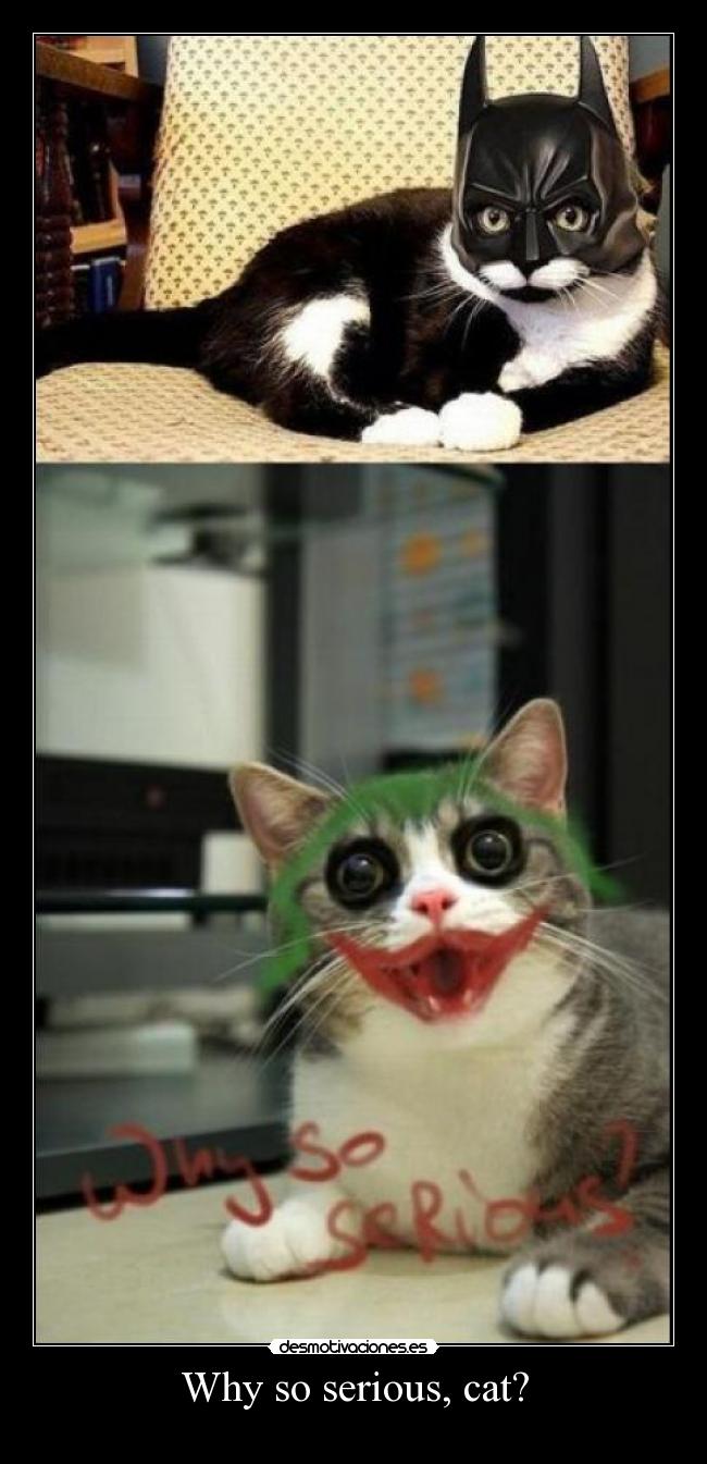 Why so serious, cat? - 