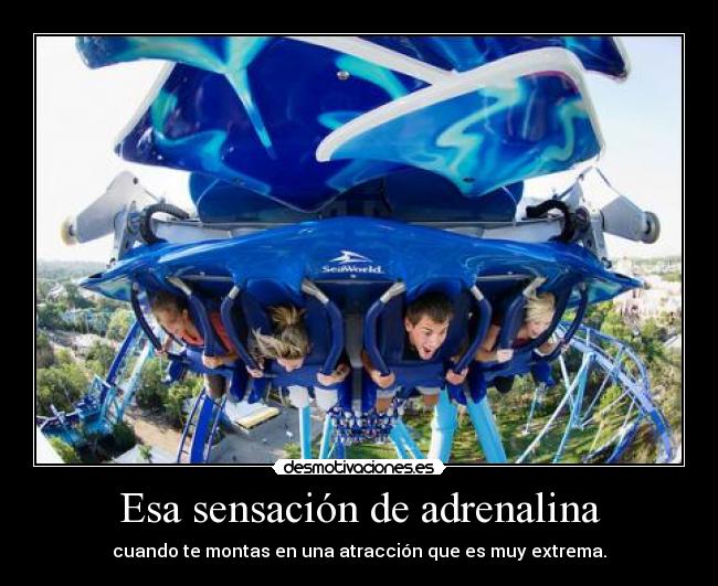 Esa sensación de adrenalina - 