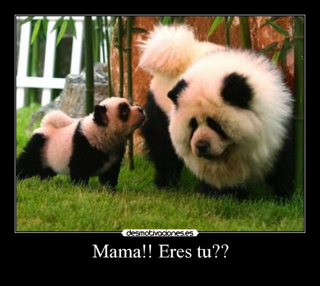 Mama!! Eres tu?? - 