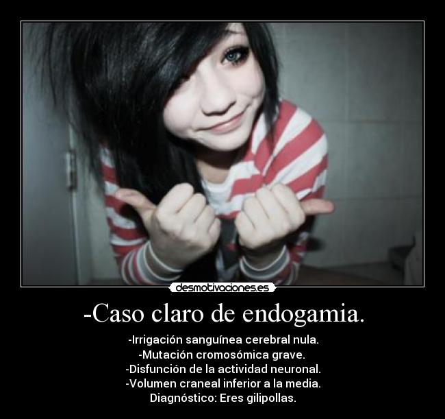 -Caso claro de endogamia. - -Irrigación sanguínea cerebral nula.
-Mutación cromosómica grave.
-Disfunción de la actividad neuronal.
-Volumen craneal inferior a la media.
Diagnóstico: Eres gilipollas.