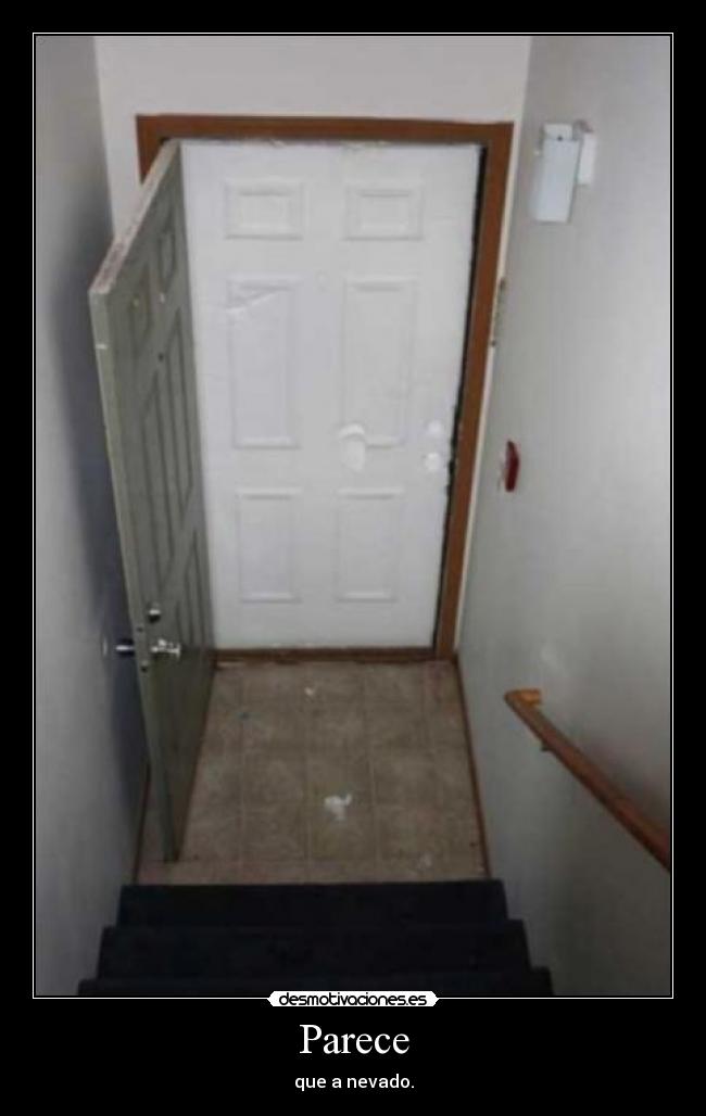 Parece - que a nevado.