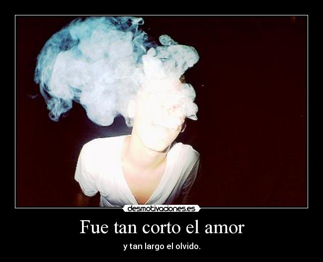 Fue tan corto el amor -