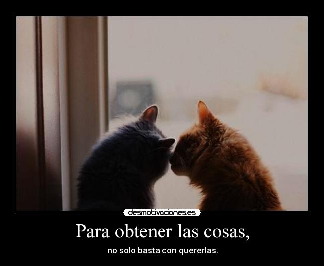 Para obtener las cosas, -