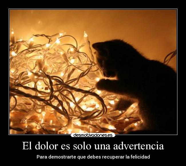 El dolor es solo una advertencia - 