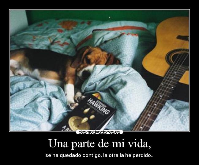 carteles vida desmotivaciones