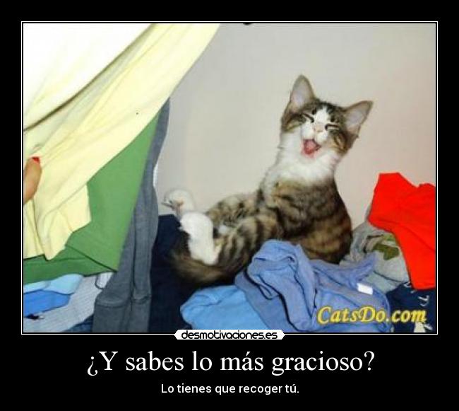 ¿Y sabes lo más gracioso? - 