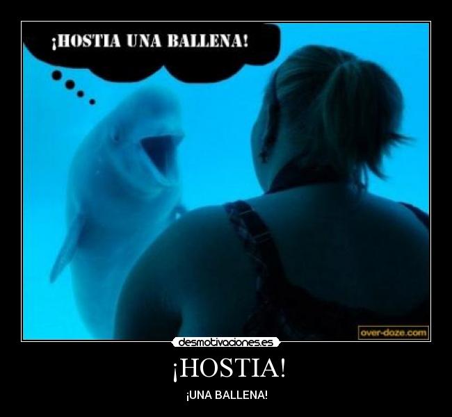 ¡HOSTIA! -