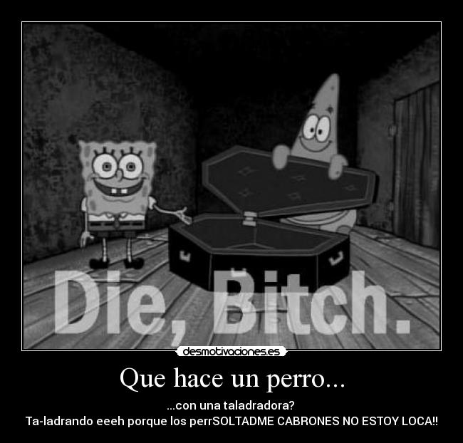 Que hace un perro... - ...con una taladradora? 
Ta-ladrando eeeh porque los perrSOLTADME CABRONES NO ESTOY LOCA!!