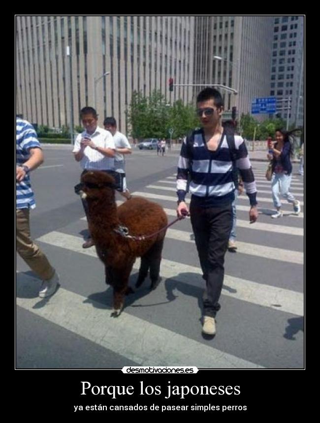 Porque los japoneses -