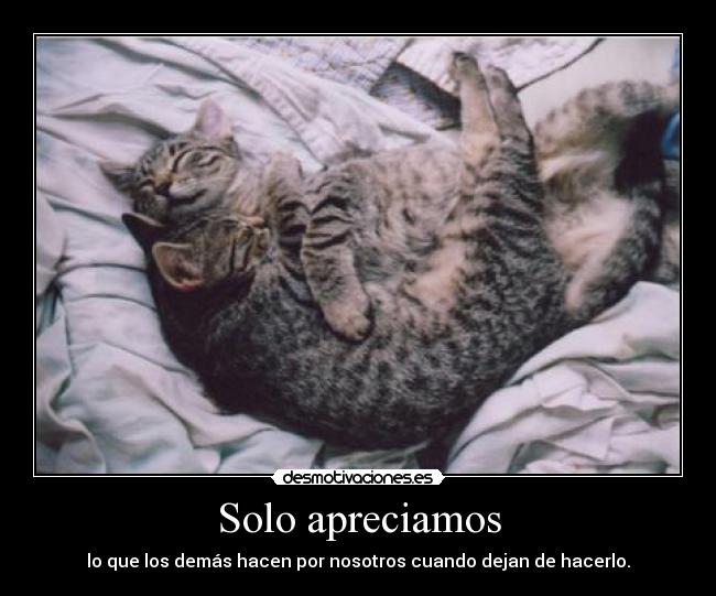 Solo apreciamos - lo que los demás hacen por nosotros cuando dejan de hacerlo.