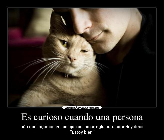 Es curioso cuando una persona -