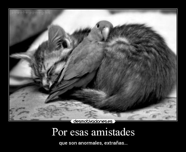 Por esas amistades -