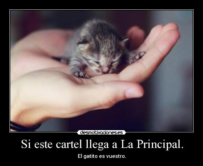 Si este cartel llega a La Principal. - 