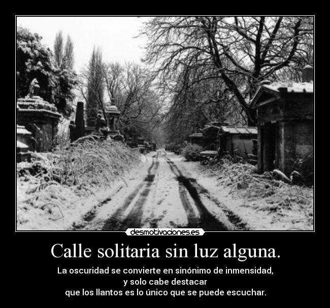 Calle solitaria sin luz alguna. - La oscuridad se convierte en sinónimo de inmensidad,
y solo cabe destacar
que los llantos es lo único que se puede escuchar.