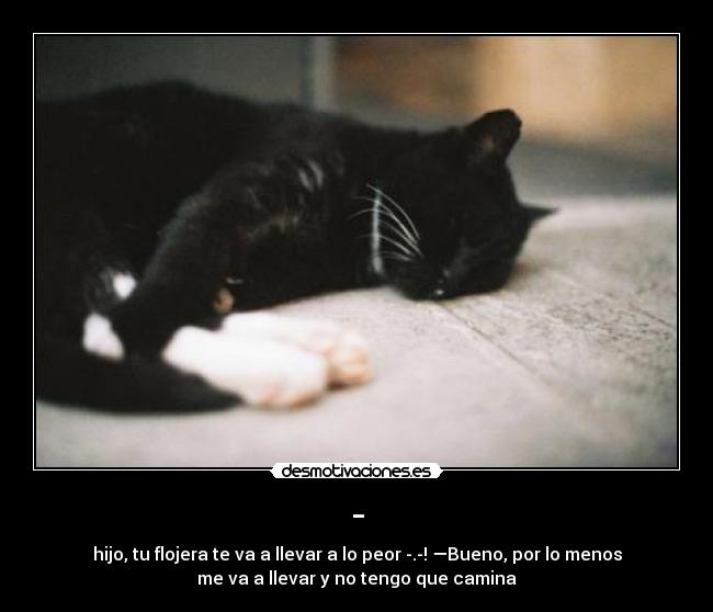 - - hijo, tu flojera te va a llevar a lo peor -.-! —Bueno, por lo menos
me va a llevar y no tengo que camina
