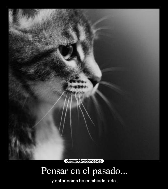 Pensar en el pasado... -