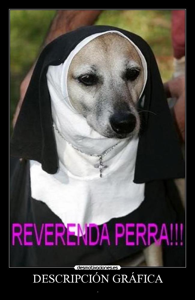 DESCRIPCIÓN GRÁFICA -