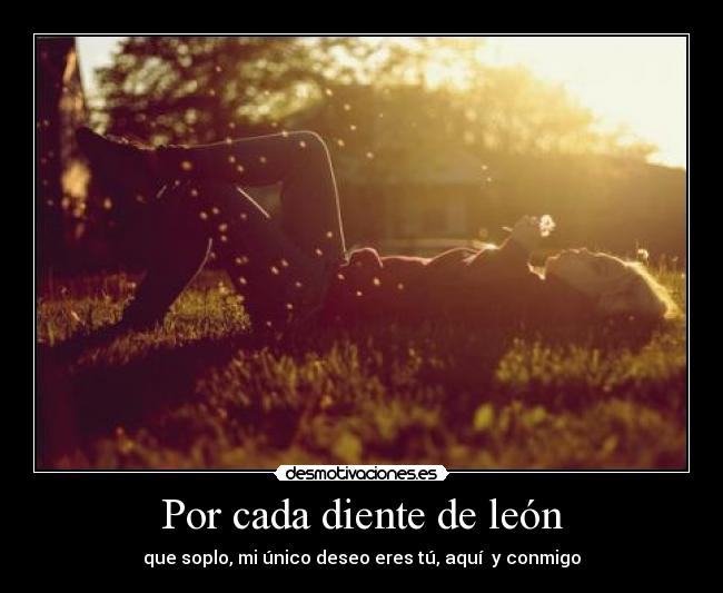 Por cada diente de león -