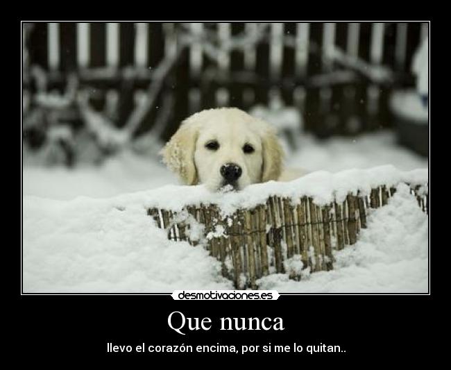 Que nunca - llevo el corazón encima, por si me lo quitan..
