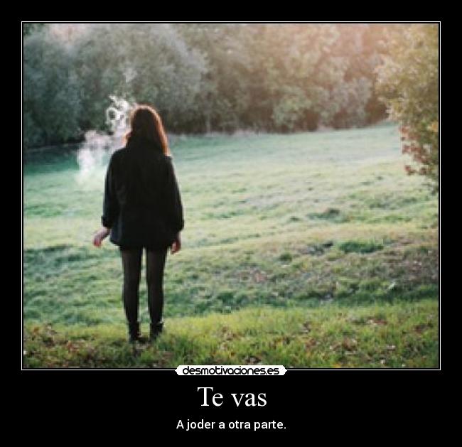 Usuario echalecojones Desmotivaciones