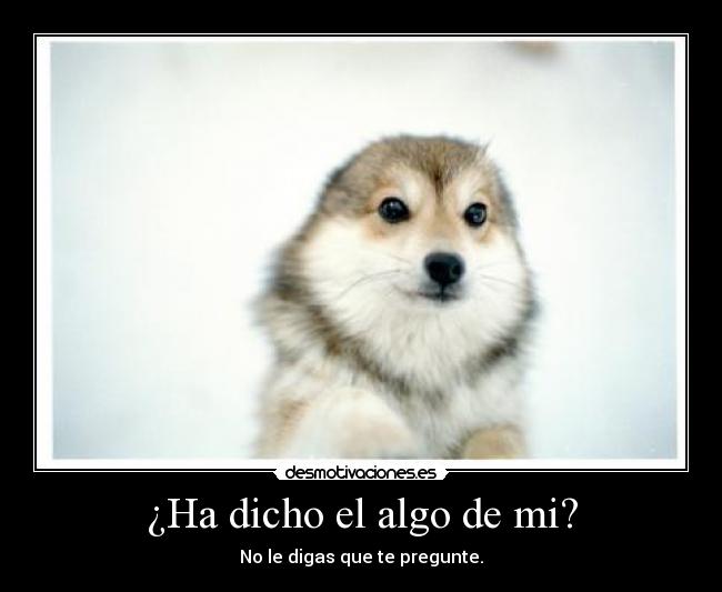 ¿Ha dicho el algo de mi? - No le digas que te pregunte.