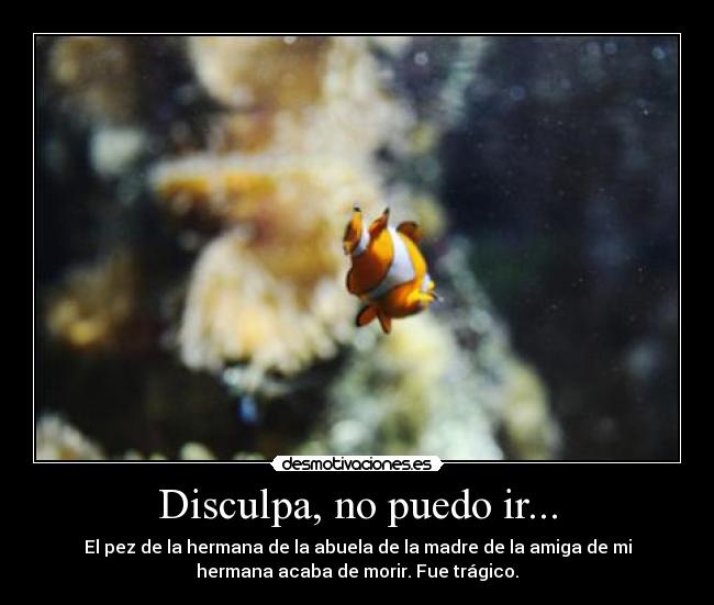 carteles darkemotion desmotivaciones