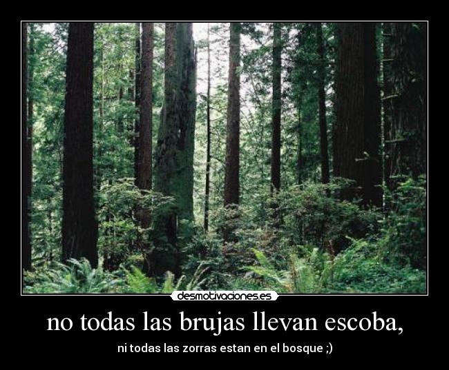 no todas las brujas llevan escoba, -